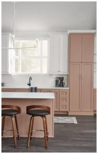 Color of the year 2023 Redent Point Sherwin Williams Durham-nc