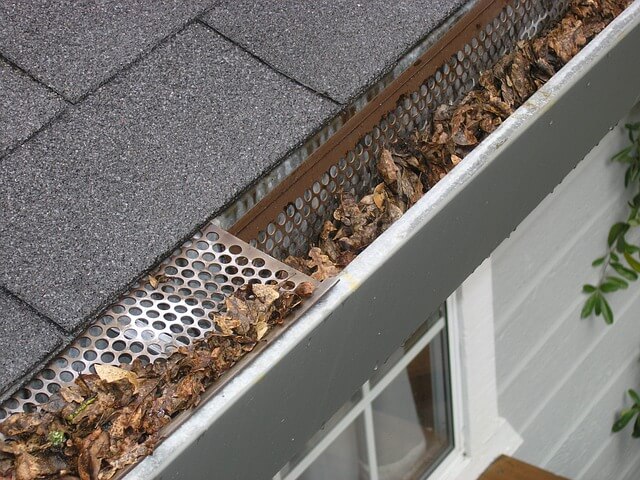 Home gutters ready to be cleaned by homeowner for winter.